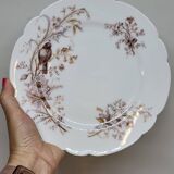 8 Superb Antique 19th Century Plates Decorated with Birds on Branches
