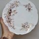8 Superb Antique 19th Century Plates Decorated with Birds on Branches