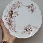 8 Superbes Assiettes Anciennes XIXème Décor Aux Oiseaux Sur Des Branches