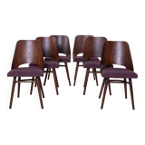 Set of 6 Dining Chairs by R. Hofman for TON, Model 514, 1960s, Reupholstered
