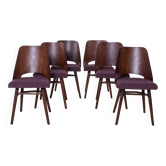 Set of 6 Dining Chairs by R. Hofman for TON, Model 514, 1960s, Reupholstered