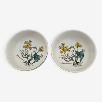 2 bol Villeroy & Boch Botanica