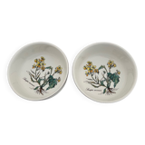 2 bowls Villeroy & Boch Botanica