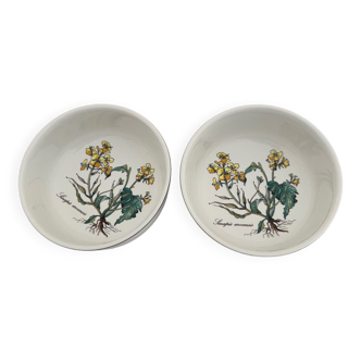 2 bowls Villeroy & Boch Botanica