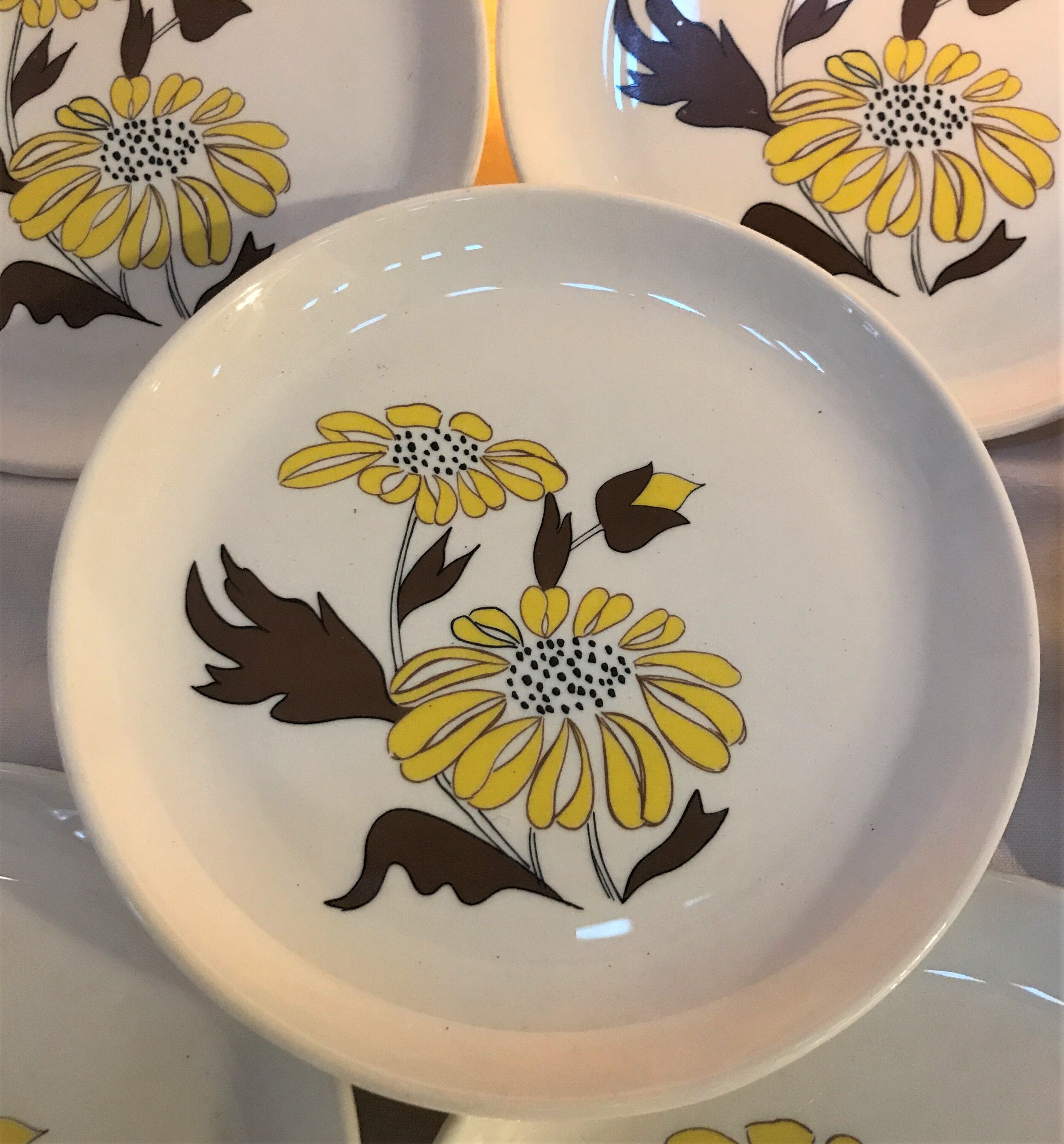 Lot Flat plates and dessert Sovirel 70s