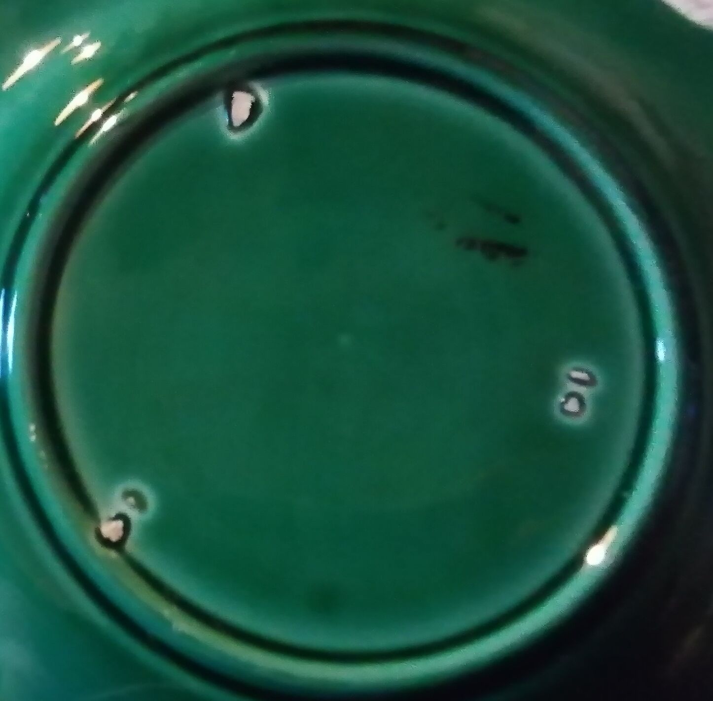 Set of 11 vintage sarreguemines fish plates