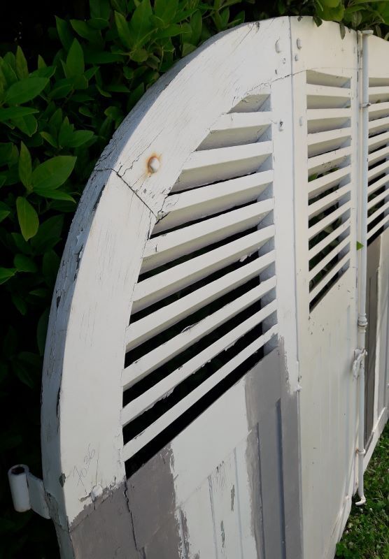 Curved shutters oak and fir H156xL245