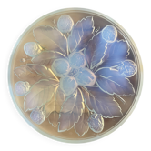 Coupe en verre opalescent Cesari France