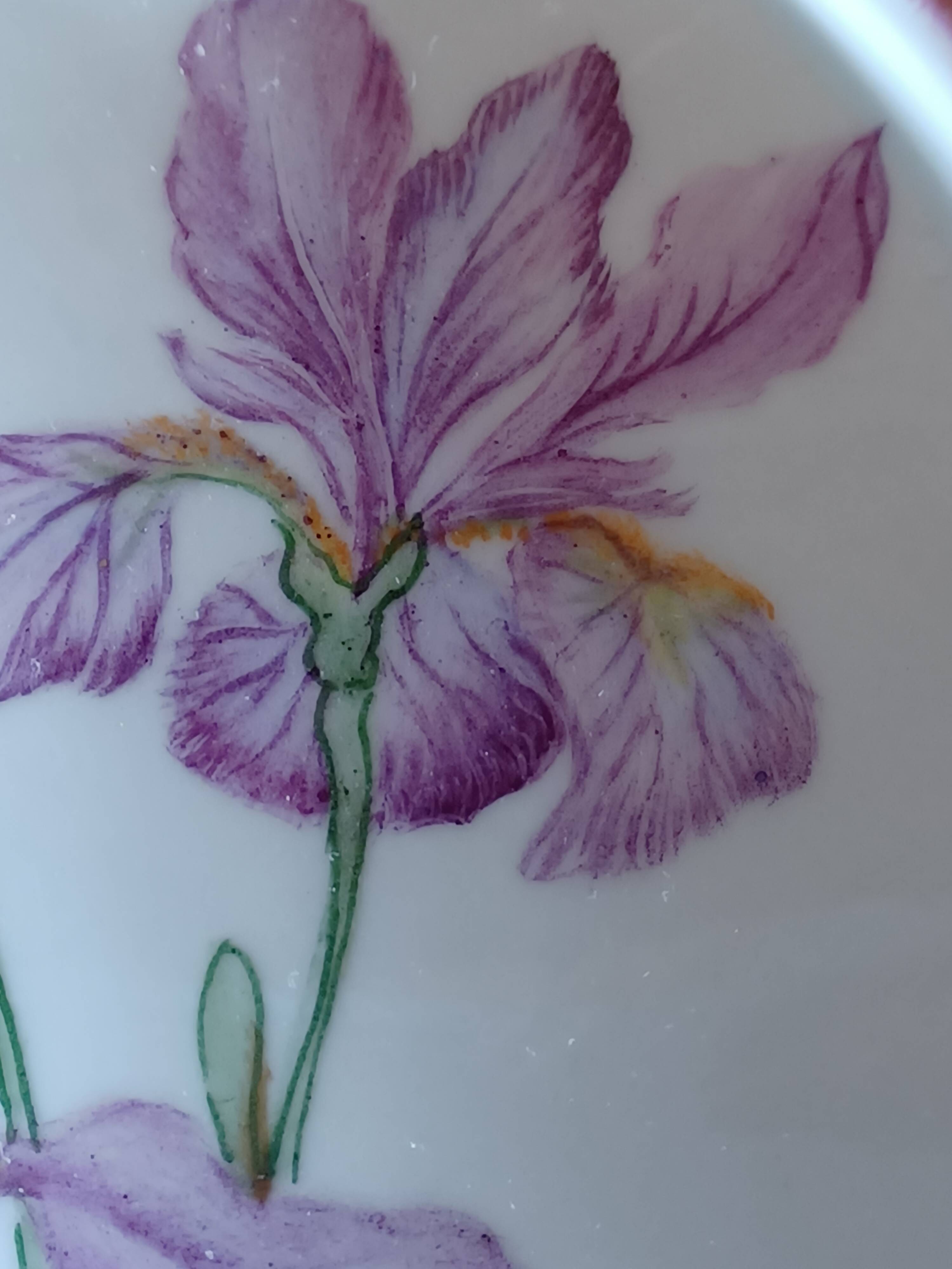 Hand Painted Porcelain Iris Flower Medallion.
