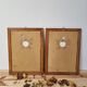 Paire de cadres vintage aquarelles fleurs