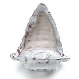 Grey ceramic shell wall lamp, Vallauris, 1960s