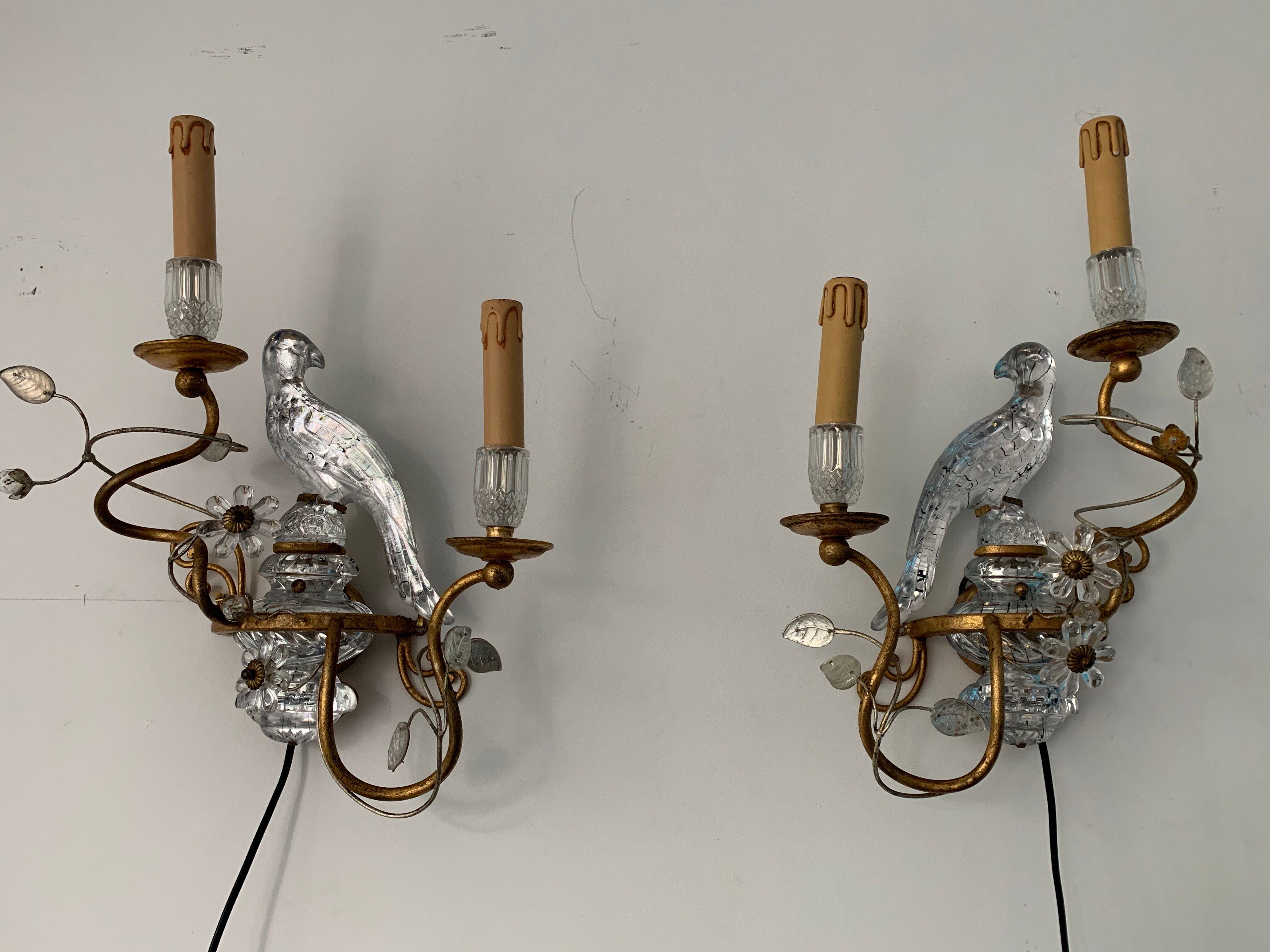 Pair of parrot crystal or parakeet wall sconces Maison Baguès 1950