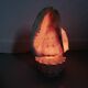 Lampe coquillage "cassis cornita" années 70
