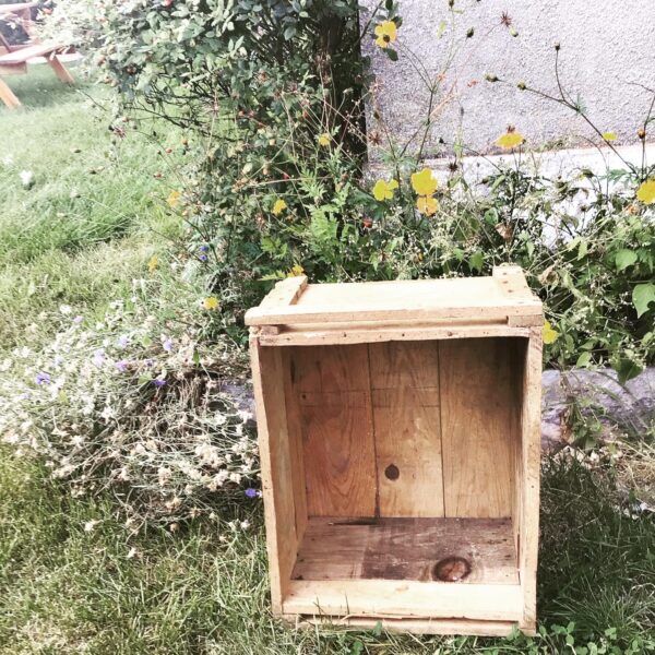 Set of two boxes of ammunition