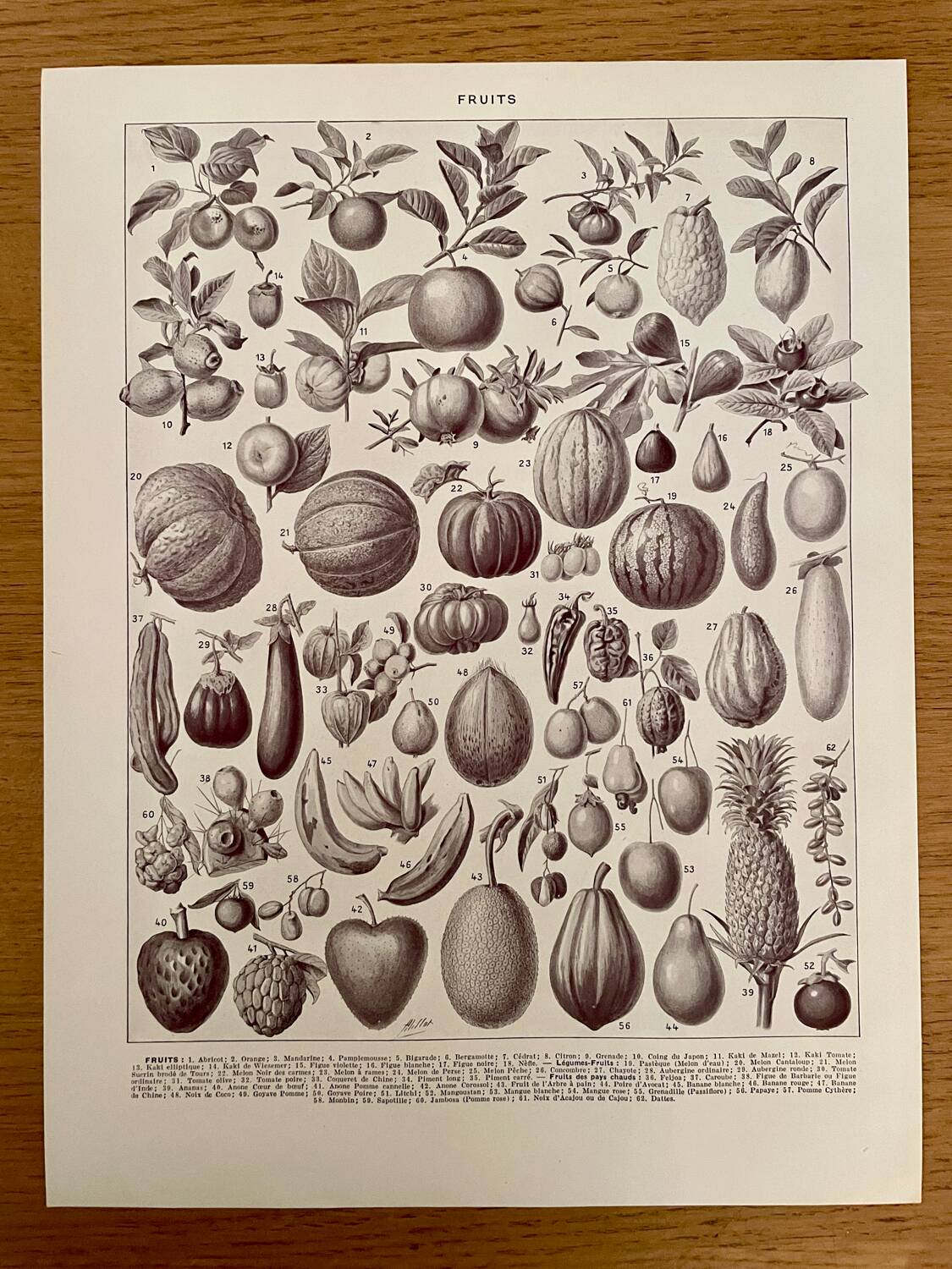 Réserve Audrey - Lot de 6 lithos XXe
