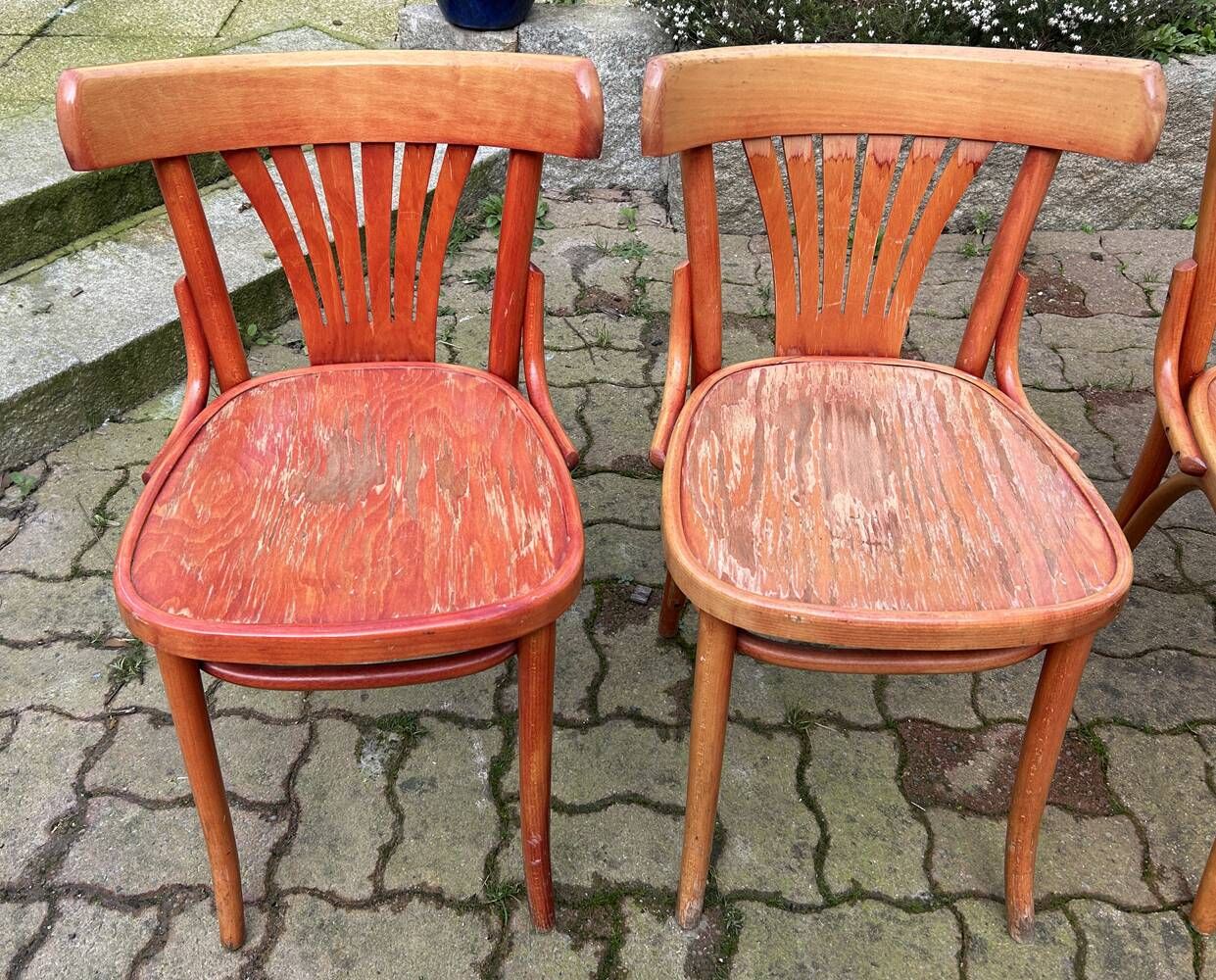 Set of 5 brasserie, bistro chairs, in their original condition, vintage, 1960s