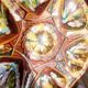 Ensemble de 6 assiettes barbotine coquilles saint jacques