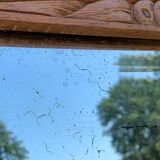 Parisian art deco wardrobe