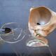 Vintage shell night light lamp from the 1960s