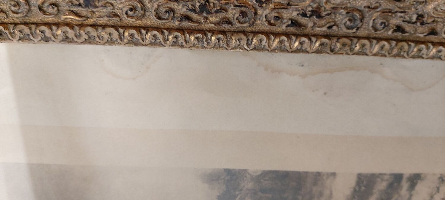 Napoleon old painting print?