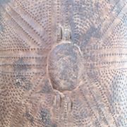 "Glagwa" shield embossed metal Cameroon 20th century