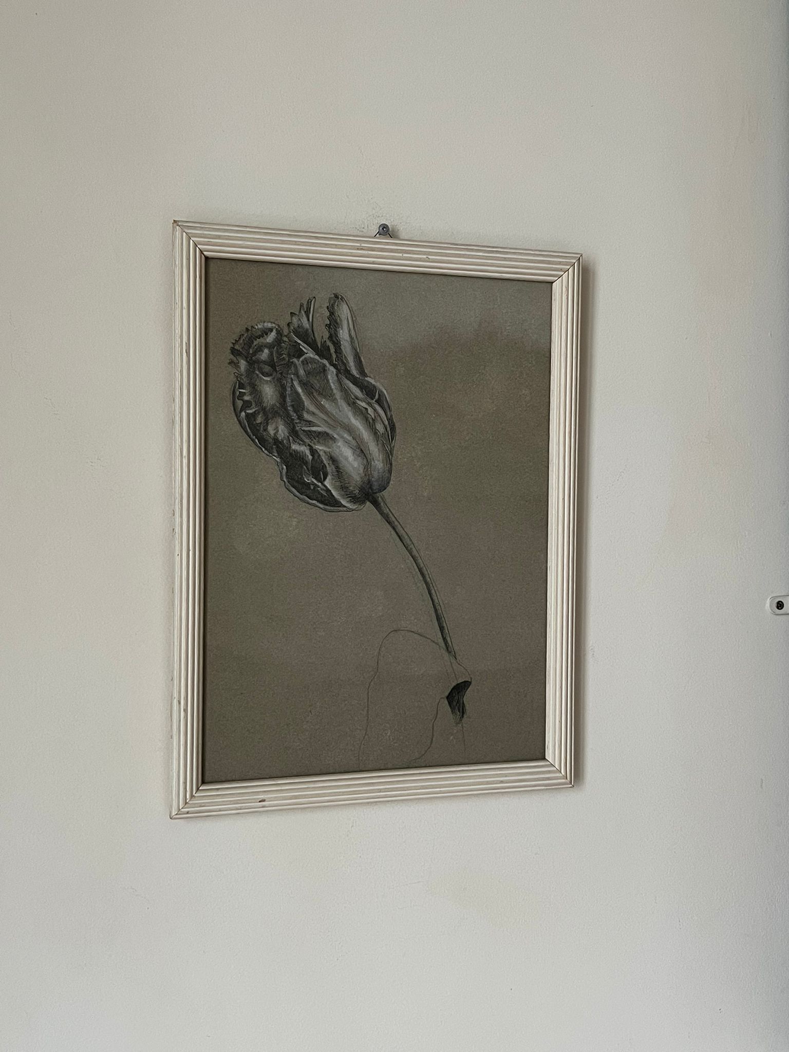 Etude documentaire d'une fleur, drawing, Dumant, 1951