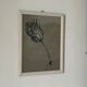 Etude documentaire d'une fleur, dessin, Dumant, 1951