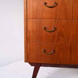1950s/60s Scandinavian Teak and Mahogany Chest