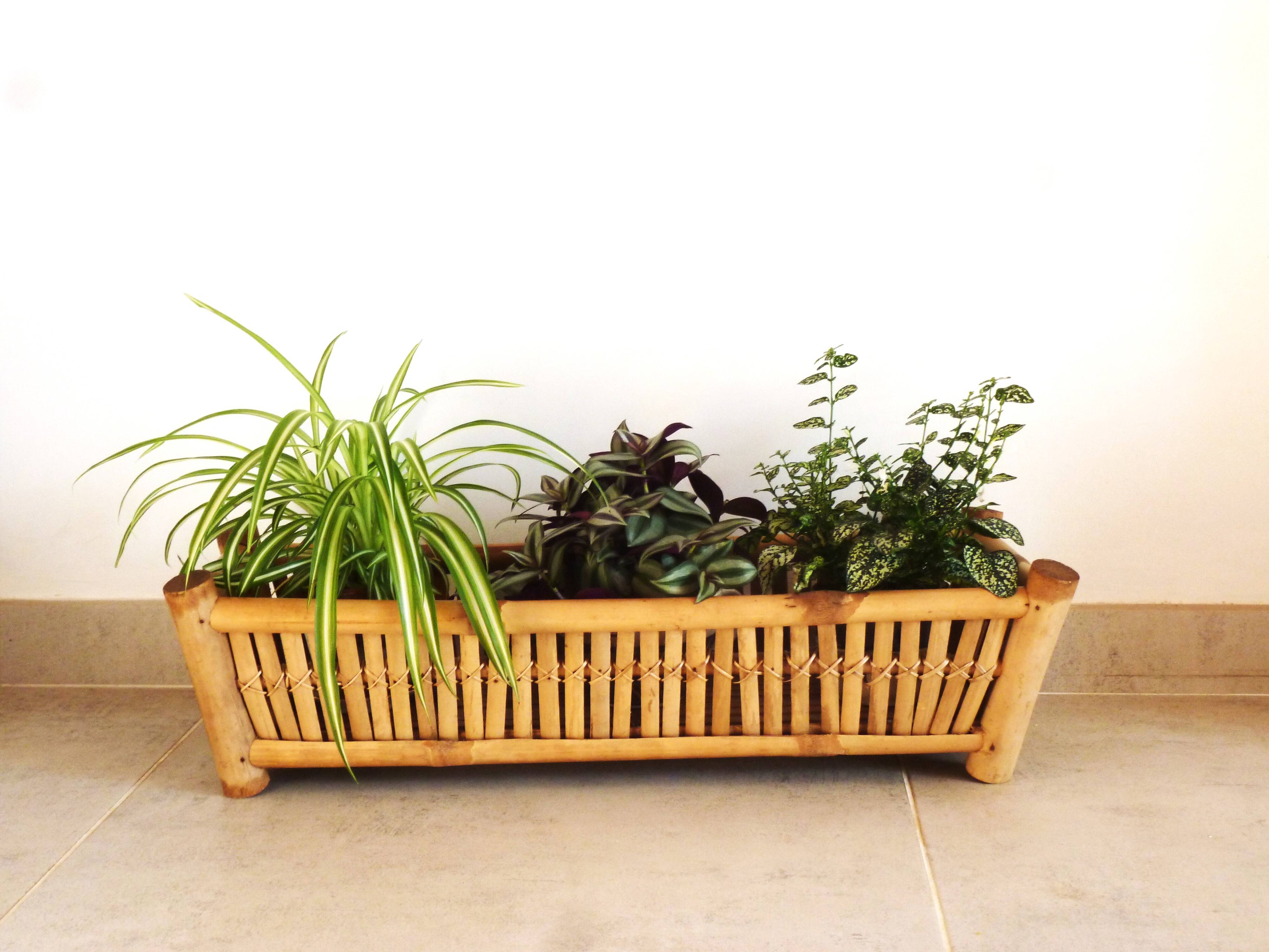 bamboo planter, bamboo and rattan plant pot, indoor planter.