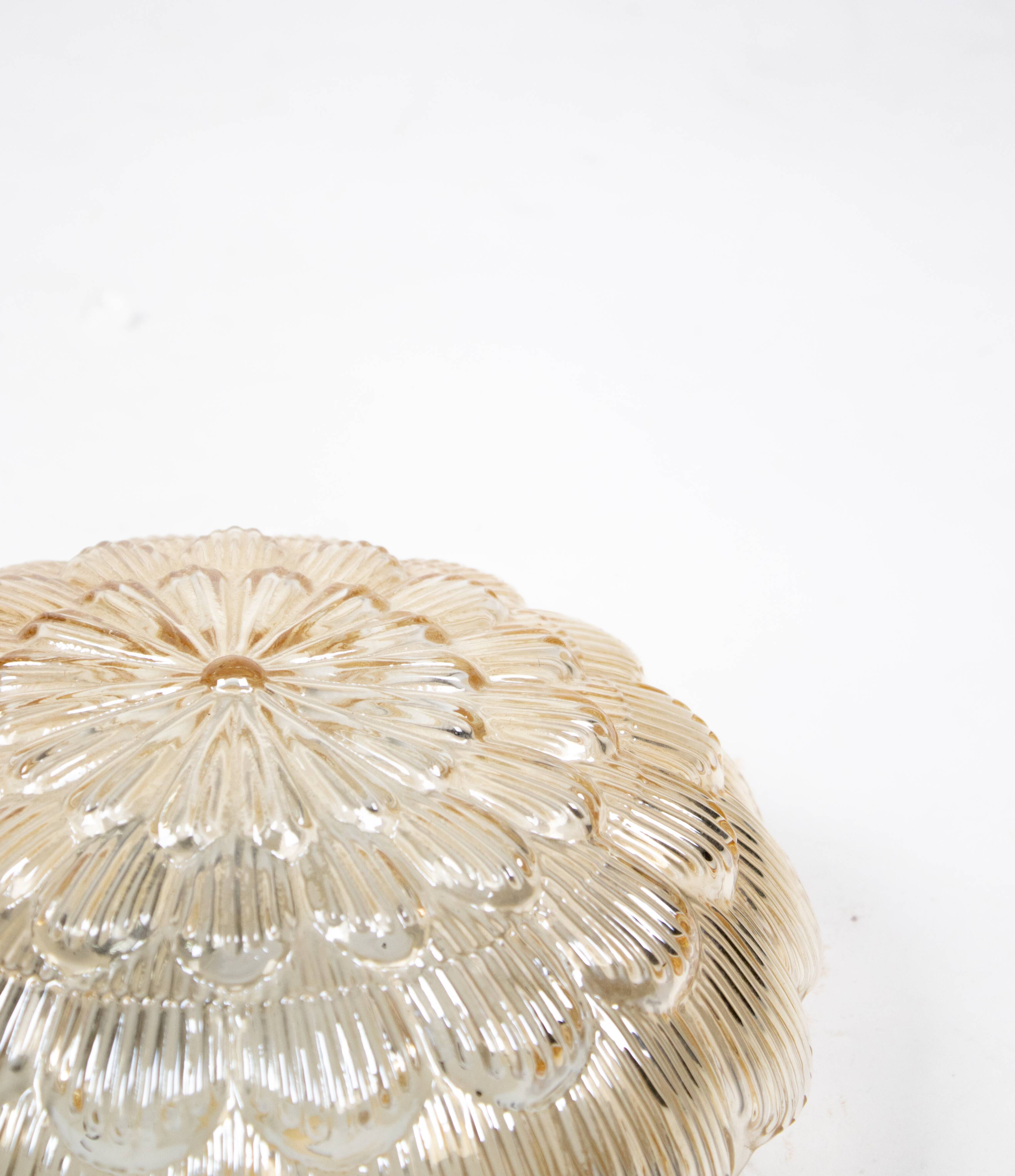 Pair of smoked glass ceiling lights