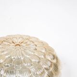 Pair of smoked glass ceiling lights