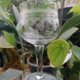 4 bohemian crystal glasses engraved