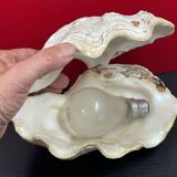 Shell: large giant clam ile reunion - 22 x 13 x 12 cm