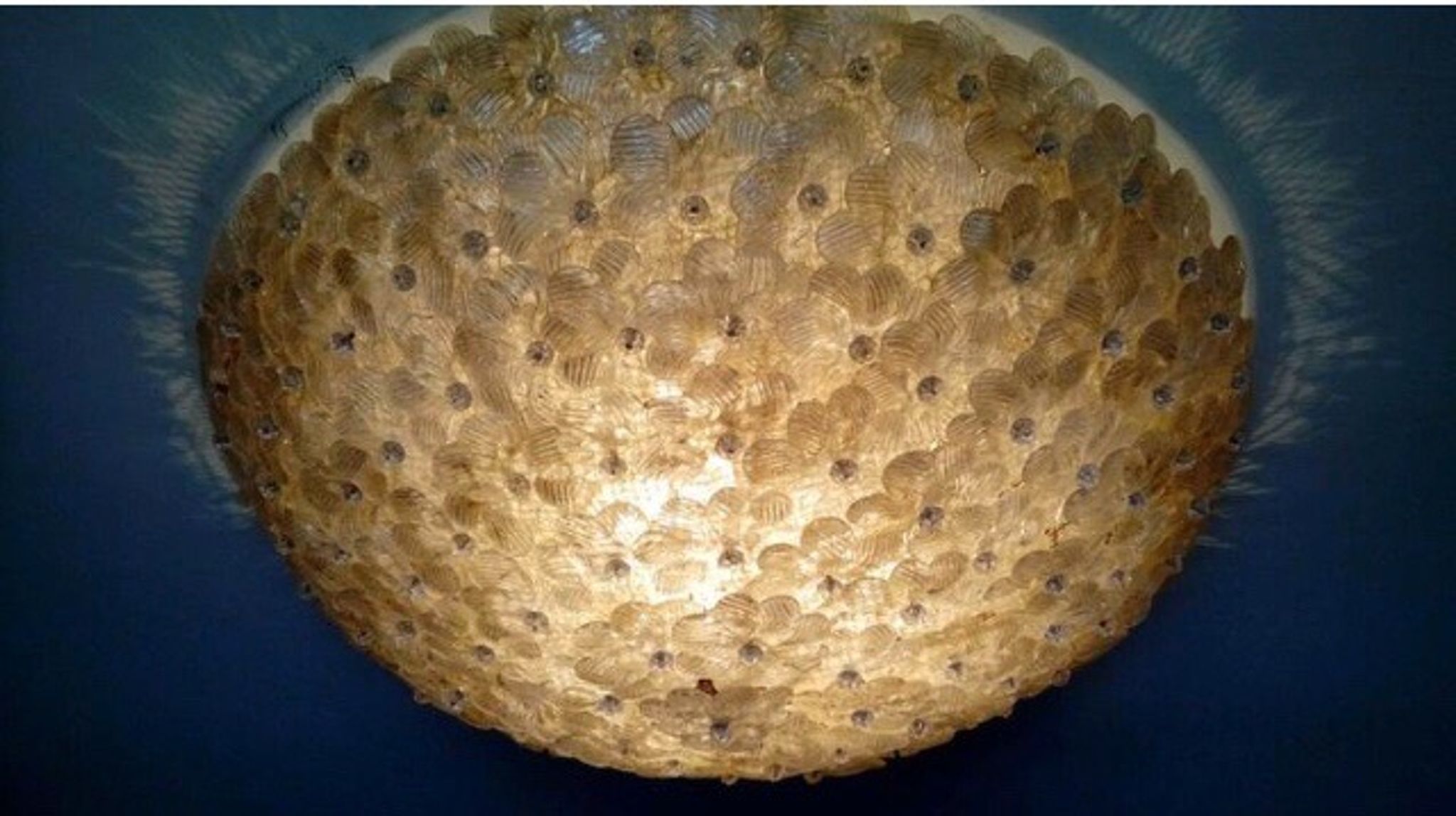 Murano gold glass ceiling light with more than 100 Barovier & Toso flowers