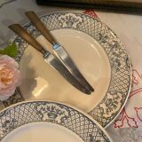 Set of 2 Mason's ironstone dinner plates