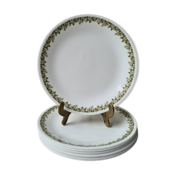 9 assiettes plates