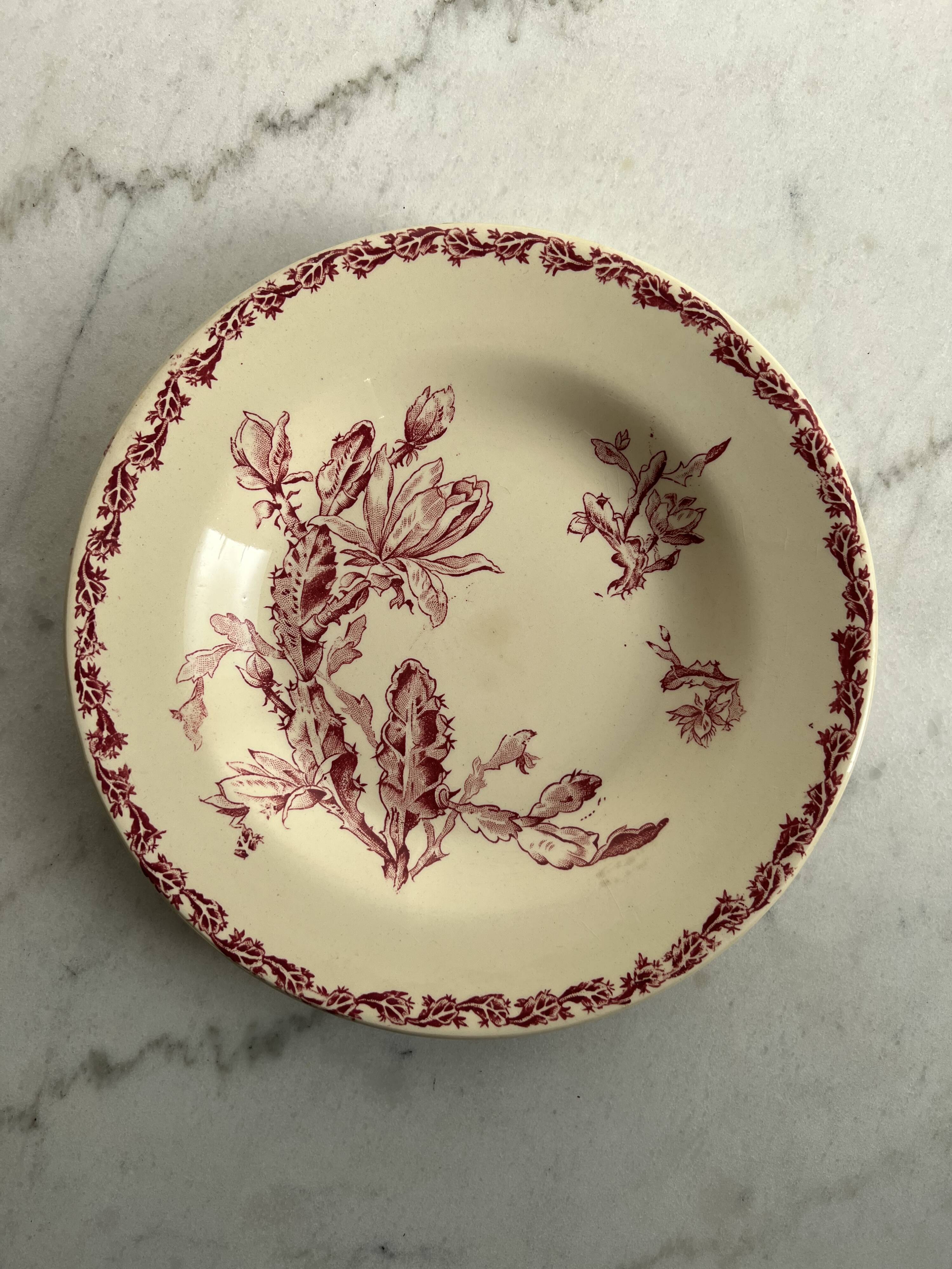 Hollow plate - Gien Cactus