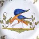 Moustiers earthenware decorative plate with bird