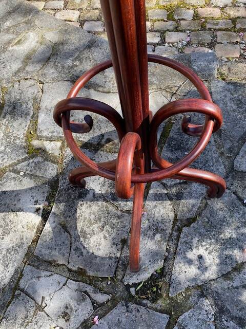 porte manteau perroquet en acajou
