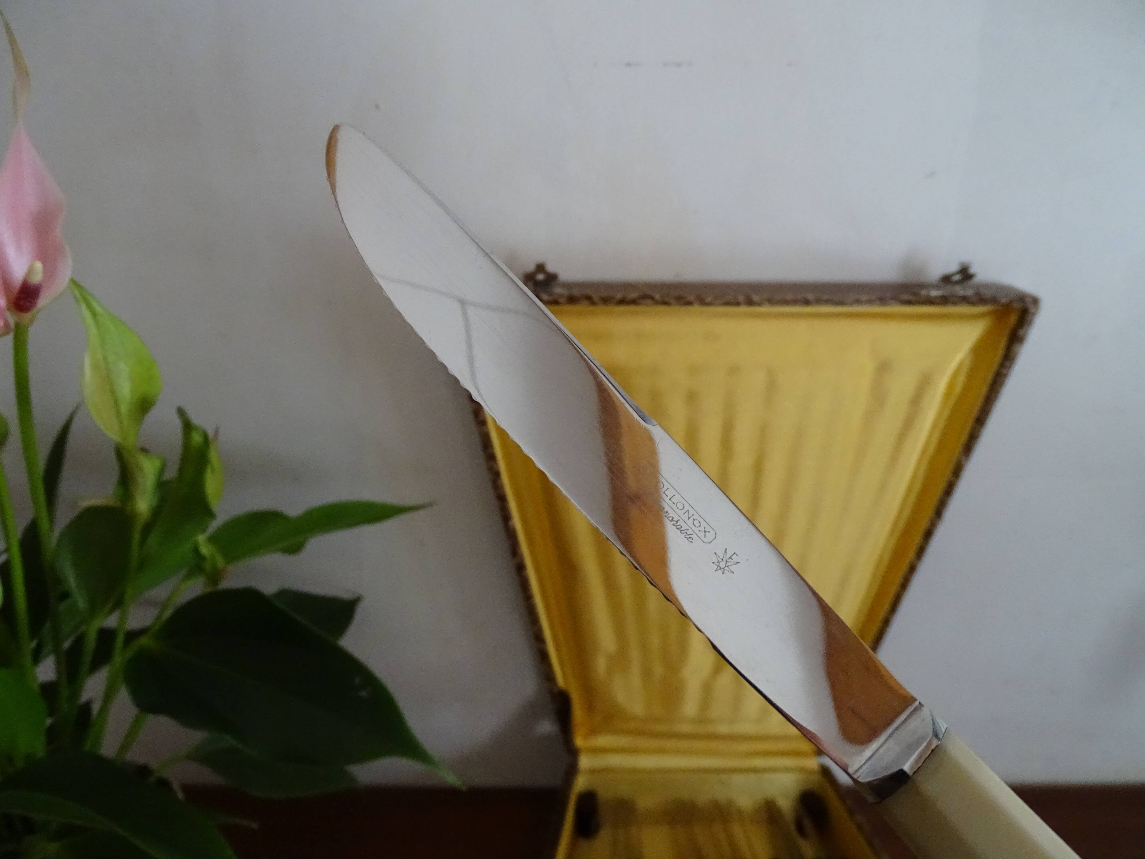 24 Art Deco knives Apollonox bakelite and stainless steel handles in case