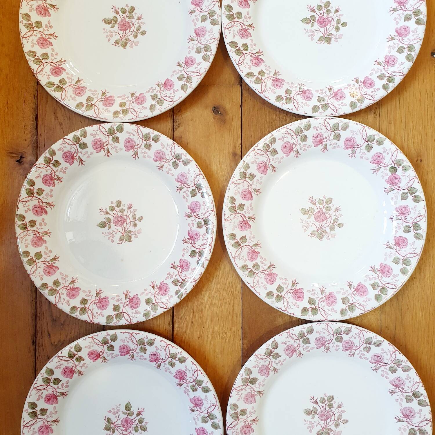 6 plates Terre de Fer Gien Garland of Roses