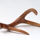 Bois de chevreuil, cabinet de curiosités, vintage