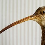 Stuffed bird "Eurasian Curlew" on plant base