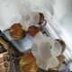 Pair of vintage flower & leaf style wall sconces - molded glass