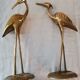 Couple of brass herons