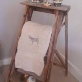 Painter's stepladder