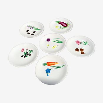 Set of 6 hand-painted plates