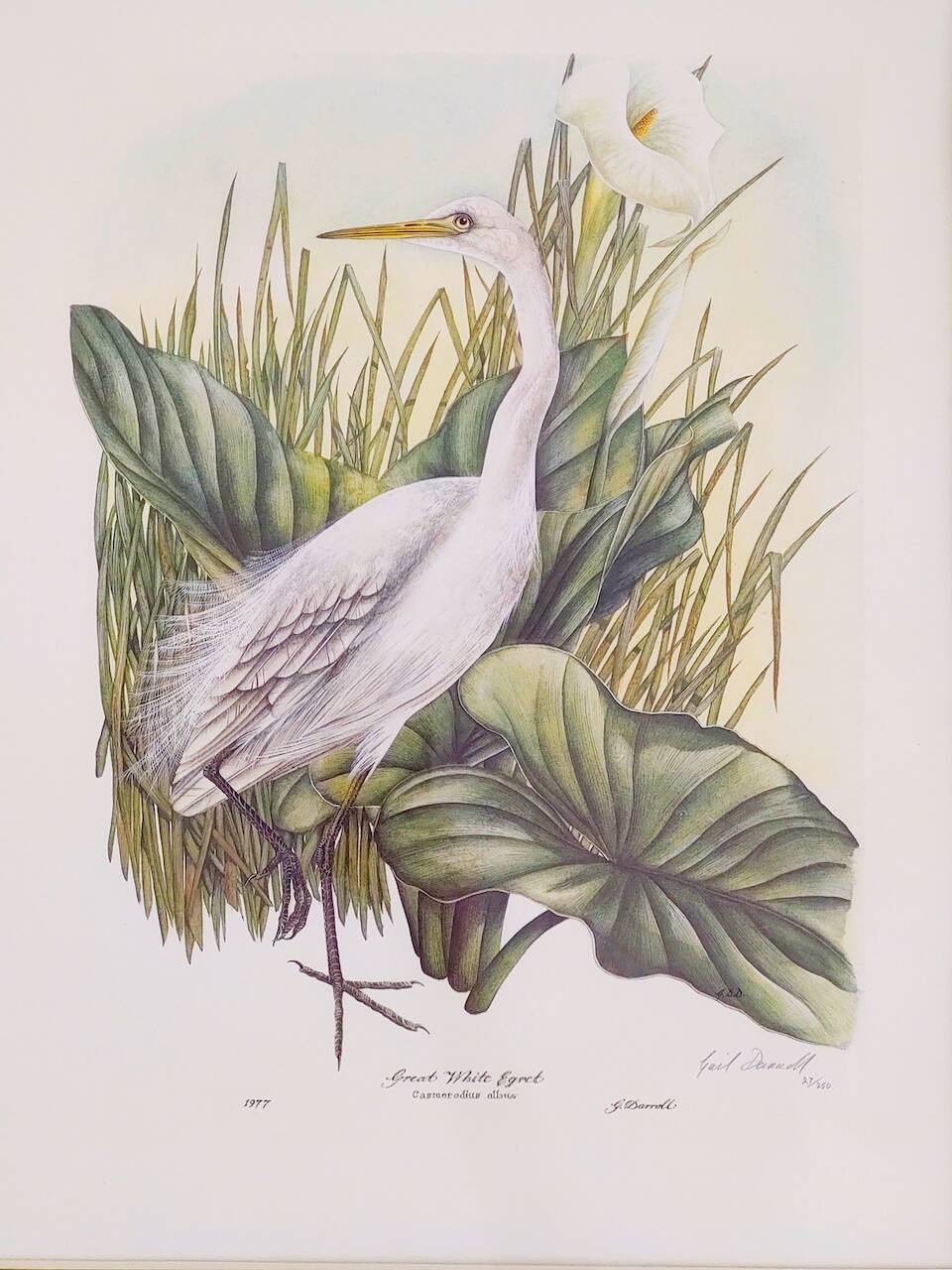 Pair of original lithographs signed in pencil by Gail Denise Darroll