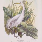 Pair of original lithographs signed in pencil by Gail Denise Darroll