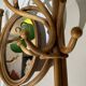 Double curved wood mirror coat rack by michael thonet gebrüder / freres, 1888